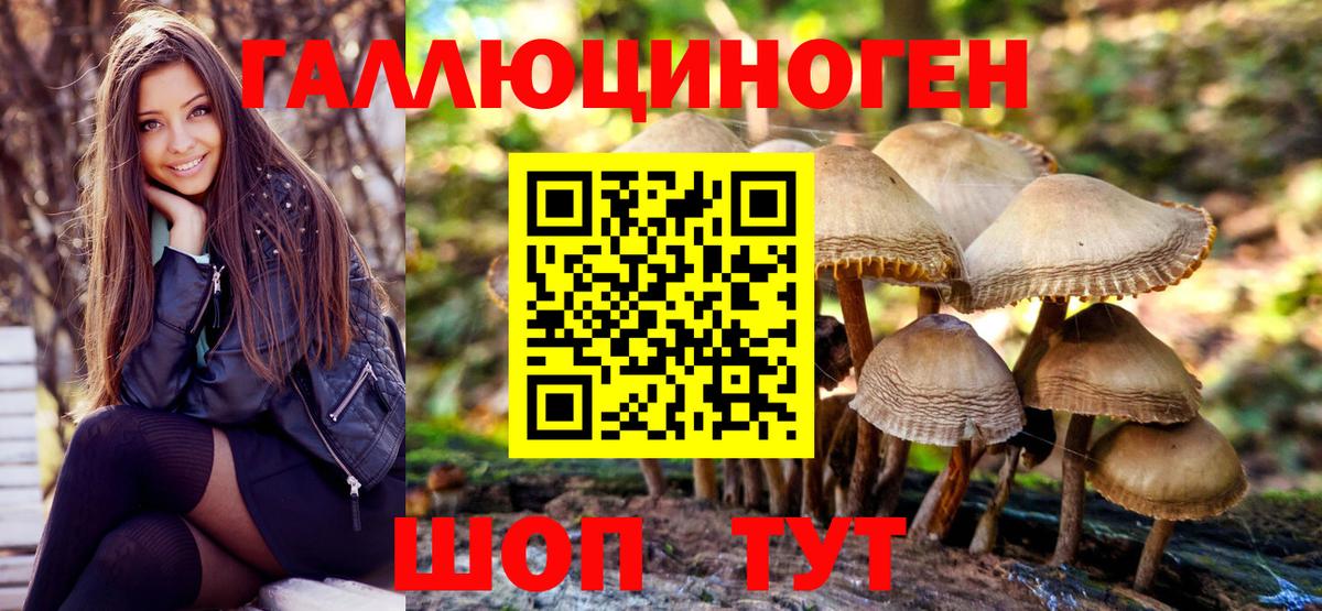 Североморск  Псилоцибиновые грибы Cubensis  Вход с VPN 