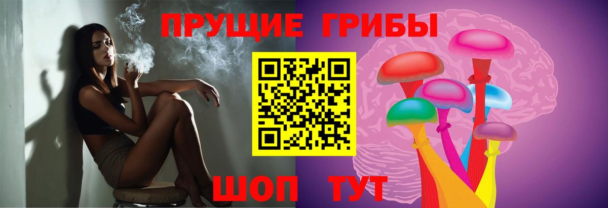 Галлюциногенные грибы Cubensis Североморск