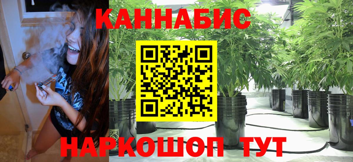 Конопля план Североморск